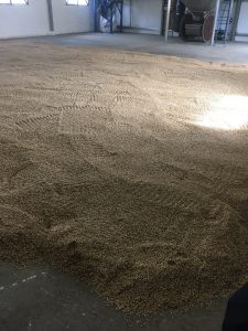 Kilchoman Malt Floor